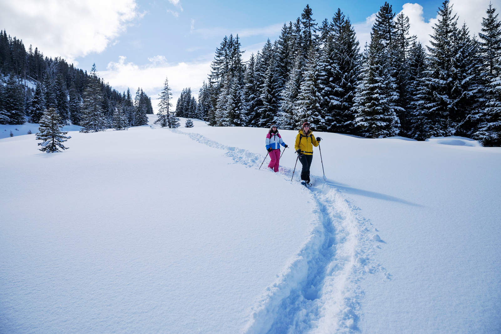 Schneeschuhtour Schönhalden